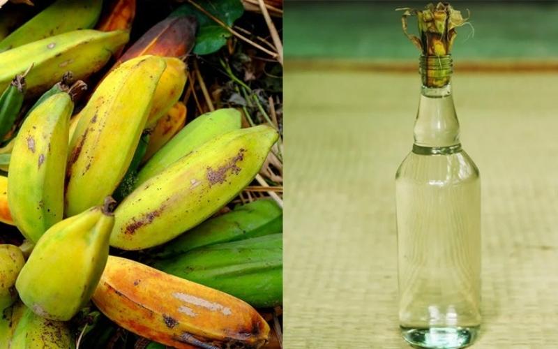 Chọn nguyên liệu để làm rượu chuối hột Chọn nguyên liệu để làm rượu chuối hột