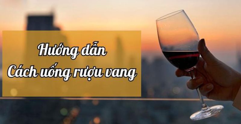 9 Cách uống rượu vang đúng chuẩn bạn cần biết